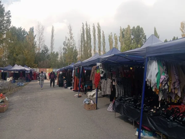 558939490 122213797130273536 4304119631120564714 n